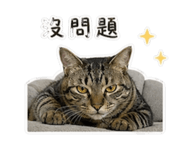 843253821