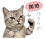 843253907
