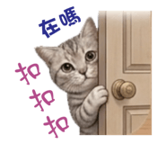 843253909