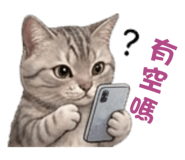 843253913