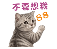 843253925