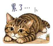 843254039