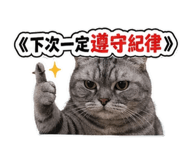843254232