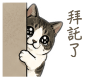 843255032