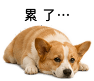 843255432