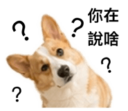843255439