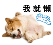 843255446