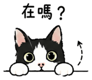 843255583