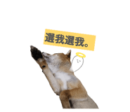 843255761