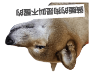 843255762