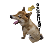 843255765