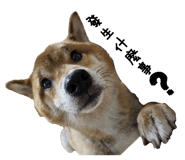 843255769
