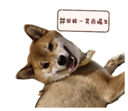 843255783