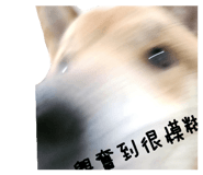843255787