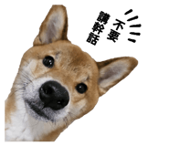 843255788