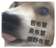 843255790