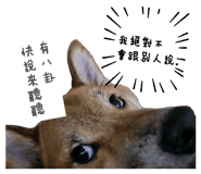 843255792