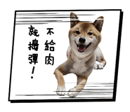 843255798