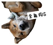 843255799
