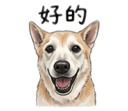 843255918
