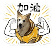 843255926