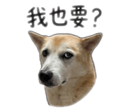 843255930