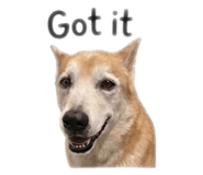 843255943