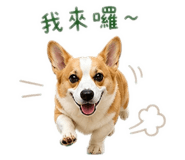 843256309