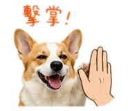 843256322