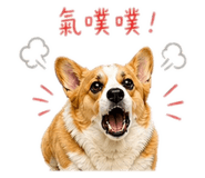 843256327
