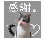843256376
