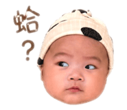 843256538