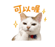 843256676