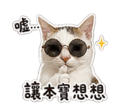 843256843