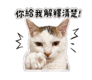 843256847