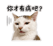 843256854