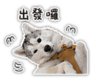 843257307