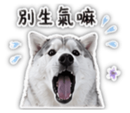 843257312
