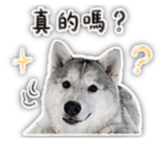 843257314