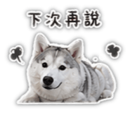 843257316