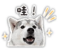 843257317