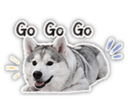 843257320