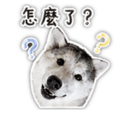 843257336