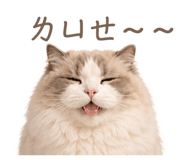 843257808
