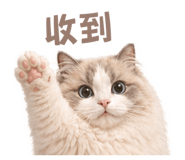 843257811