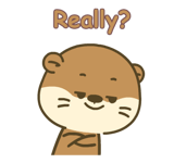 843260877
