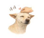 843261738