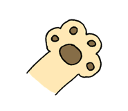 843262095
