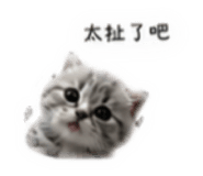 843262218