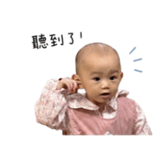 843262541